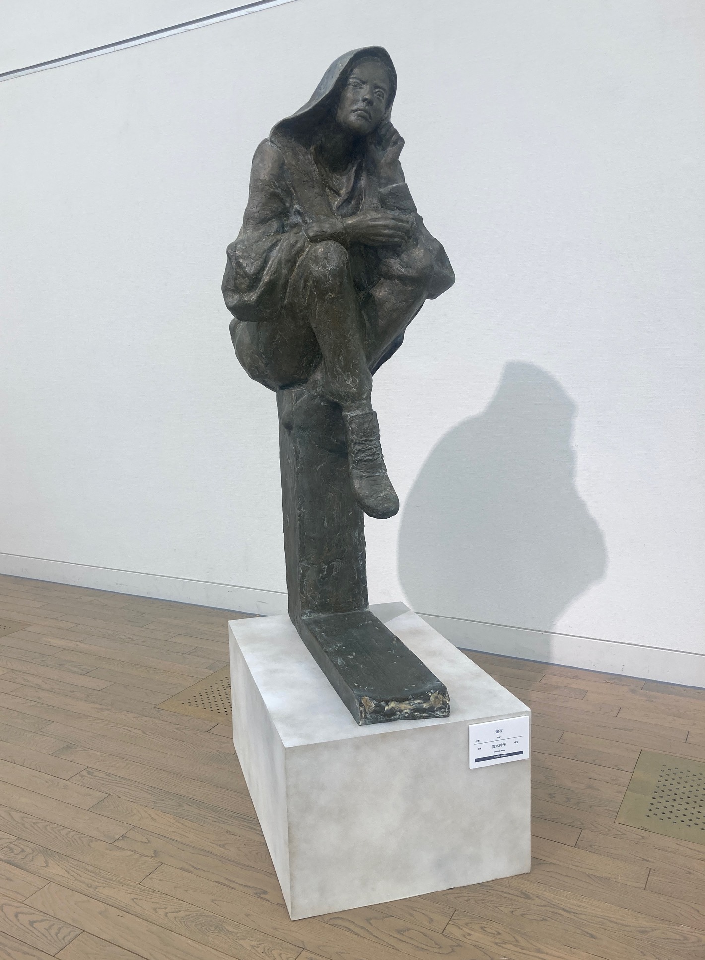 第109回 二科展 | 展覧会・イベント情報 | 女子美術大学・短期大学部